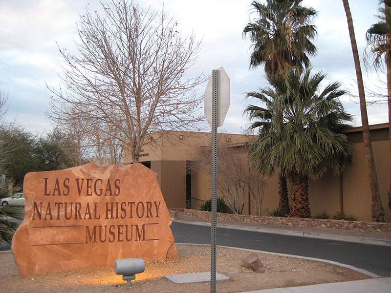 The Las Vegas Natural History Museum 