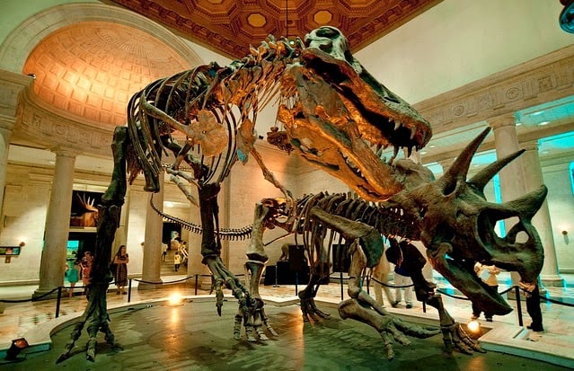 Museu de História Natural de Los Angeles na Califórnia