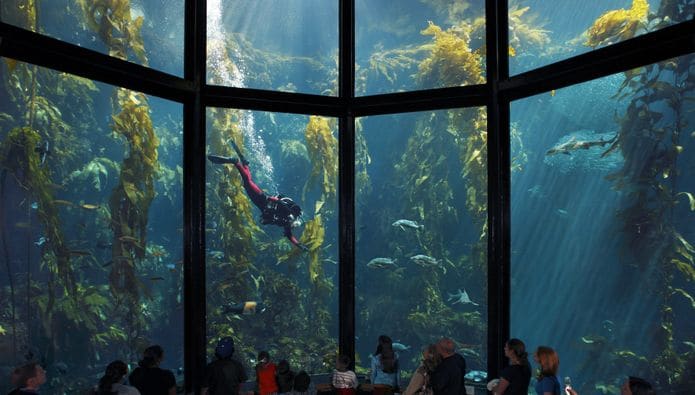 Preços do Monterey Bay Aquarium na Califórnia