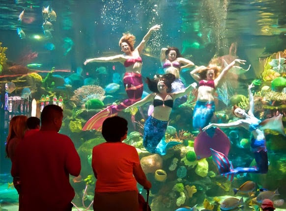 Como funciona o Mermaid Aquarium em Las Vegas
