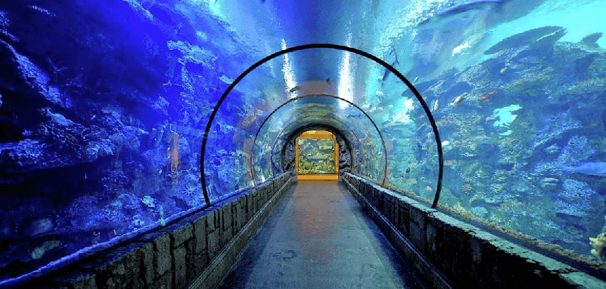Shark Reef Aquarium em Las Vegas