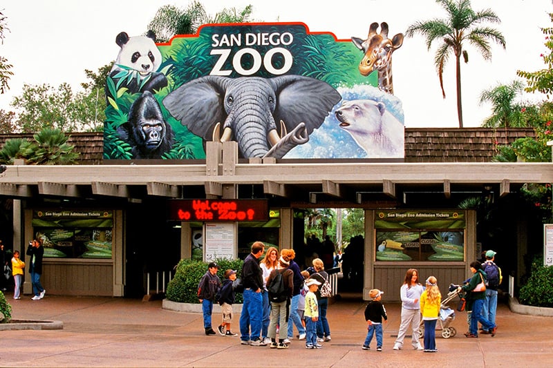 Conhecendo San Diego saindo de Las Vegas: San Diego Zoo